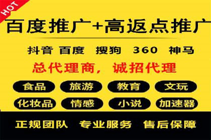 行业领先企业的SEM服务托管策略案例