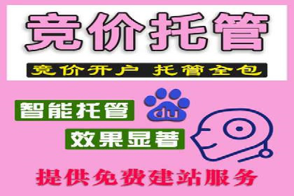 行业领先企业的SEM开户成功案例